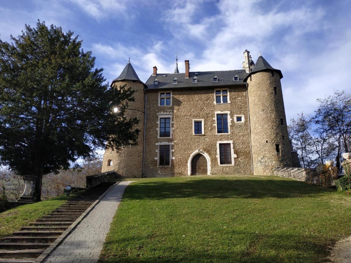 Appartement Chateau Uriage-Chamrousse Saint-Martin-dʼUriage Exteriör bild